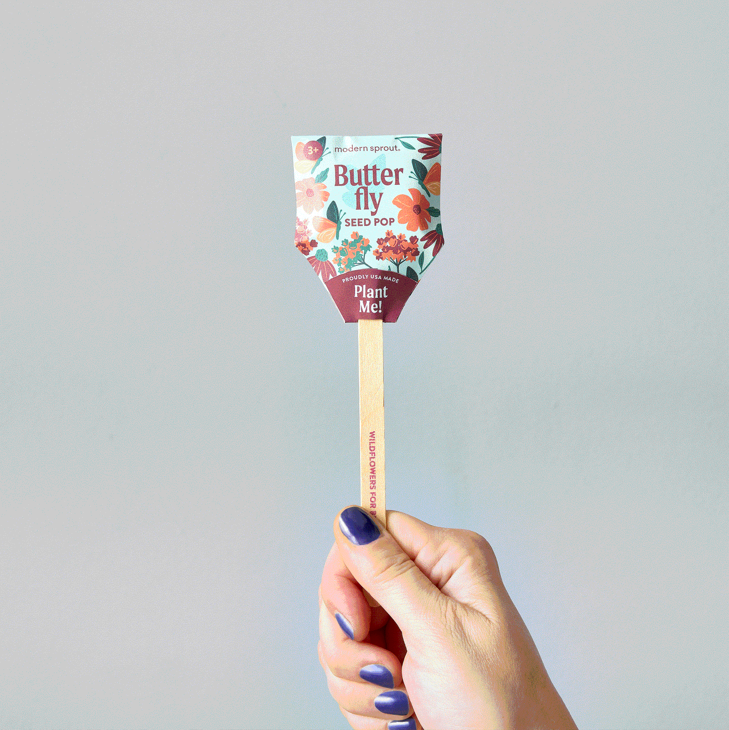 Modern Sprout Pollinator Seed Pop - Butterfly