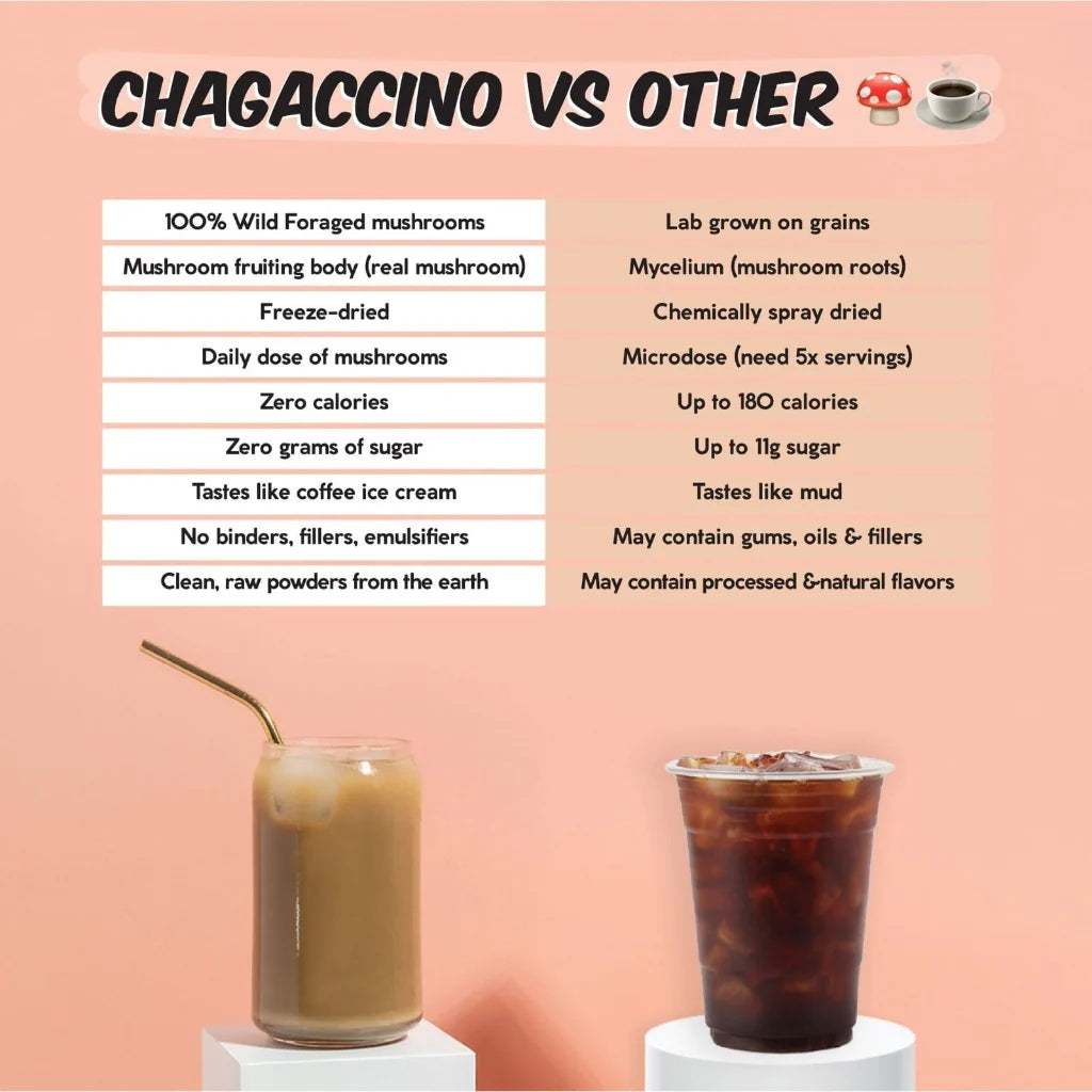 Renude Chagaccino Mushroom Boost Single Packet