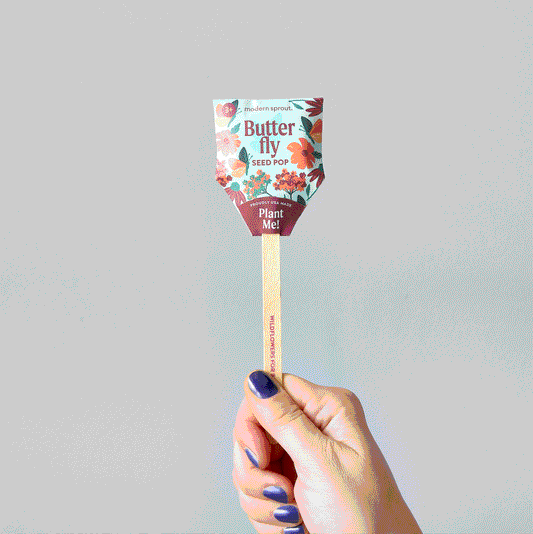 Modern Sprout Pollinator Seed Pop - Butterfly