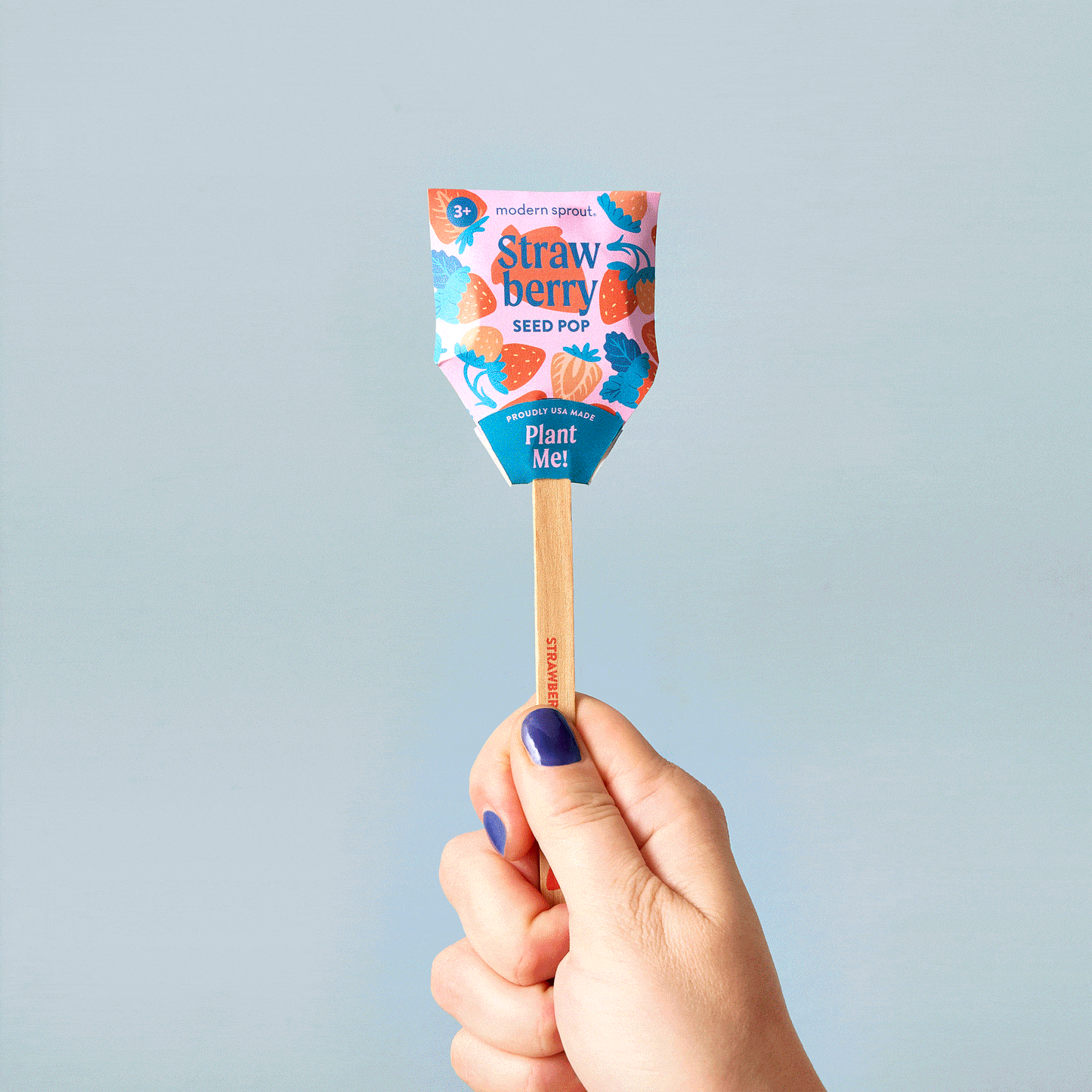 Modern Sprout Garden Seed Pop - Strawberry