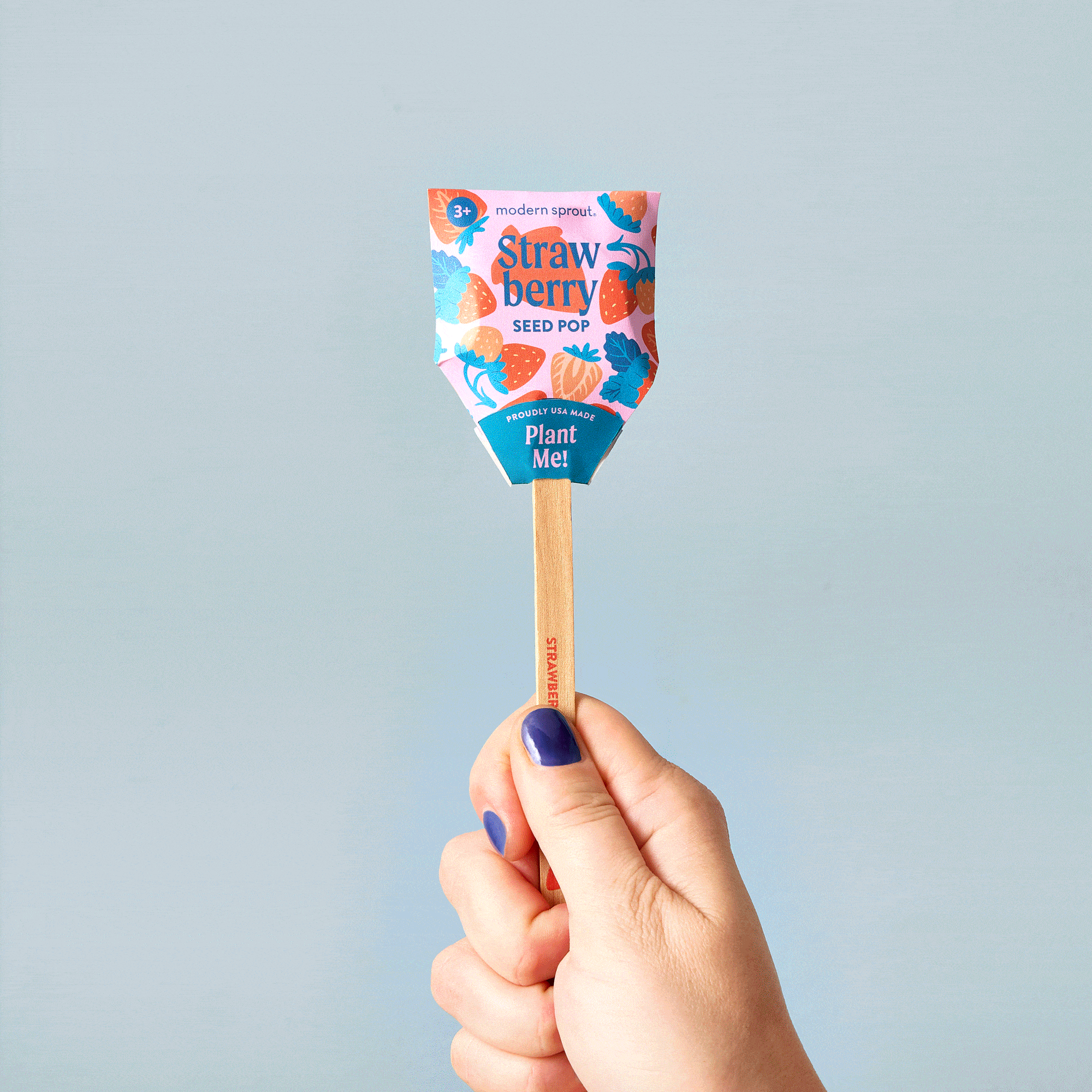 Modern Sprout Garden Seed Pop - Strawberry