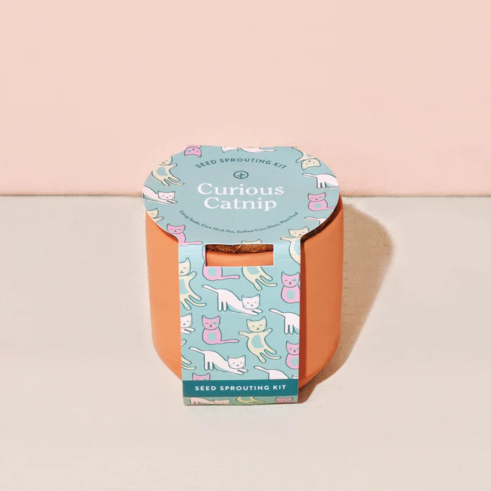Modern Sprout Pet Tiny Terracotta Grow Kit - Curious Catnip